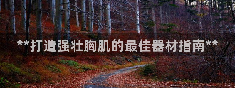 意昂体育3招商电话地址：**打造强壮胸肌的最佳器材指