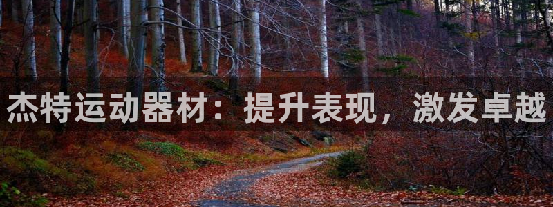 意昂体育3平台注册流程视频：杰特运动器材：提升表现，