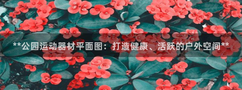 意昂3娱乐代理怎么样：**公园运动器材平面图：打造健