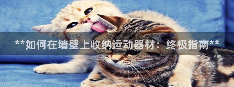 海南意昂体育3发展怎么样：**如何在墙壁上收纳运动器