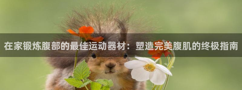 意昂3娱乐代理怎么样：在家锻炼腹部的最佳运动器材：塑