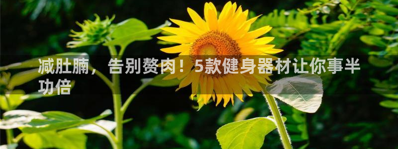 意昂体育3招商电话：减肚腩，告别赘肉！5款健身器材让