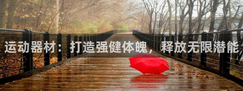 意昂3娱乐下载：运动器材：打造强健体魄，释放无限潜能
