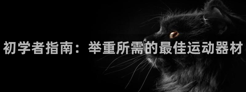 意昂3新能源：初学者指南：举重所需的最佳运动器材