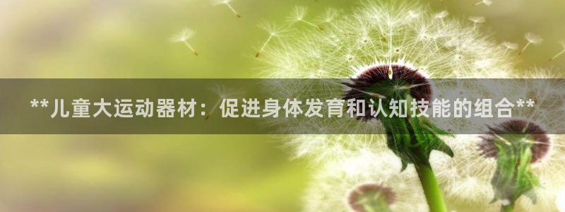 意昂体育3招商电话号码查询：**儿童大运动器材：促进