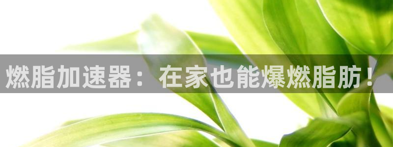意昂体育3招商电话是多少啊：燃脂加速器：在家也能爆燃