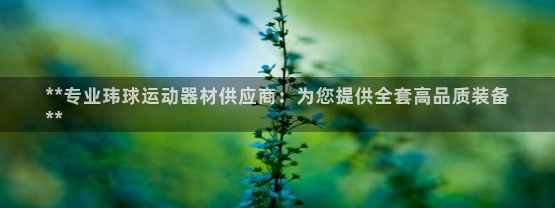 意昂体育3招商电话是多少号码：**专业玮球运动器材供