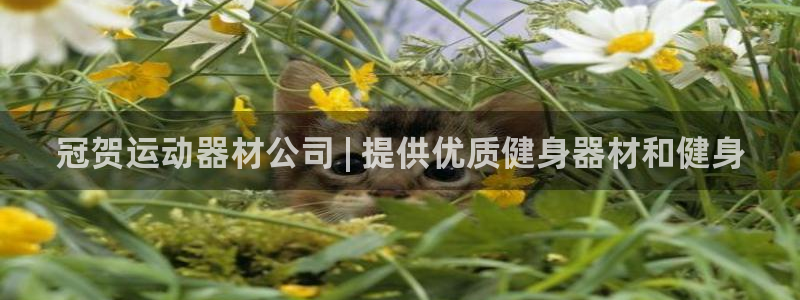 意昂体育3软件：冠贺运动器材公司 | 提供优质健身器