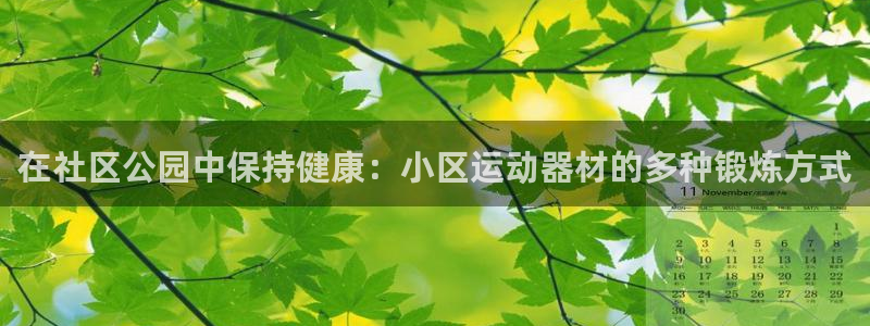 意昂体育3平台：在社区公园中保持健康：小区运动器材的