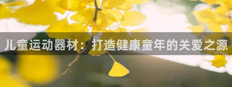 意昂体育3开户：儿童运动器材：打造健康童年的关爱之源