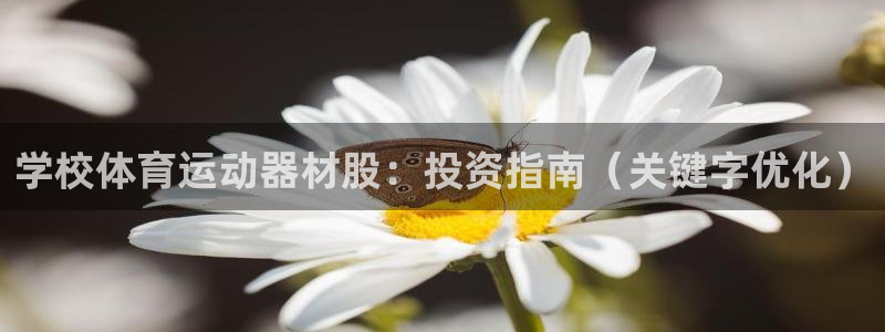 意昂体育3招商电话是多少：学校体育运动器材股：投资指