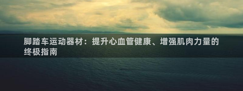 意昂3五金厂：脚踏车运动器材：提升心血管健康、增强肌
