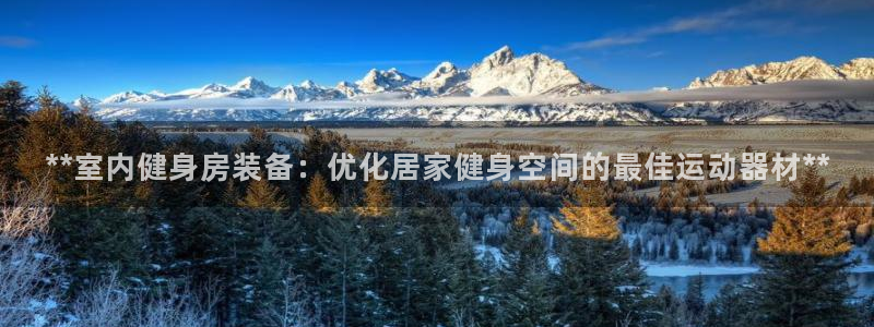 意昂3新能源：**室内健身房装备：优化居家健身空间的