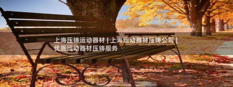 意昂体育3平台注册流程视频：上海压铸运动器材 | 上