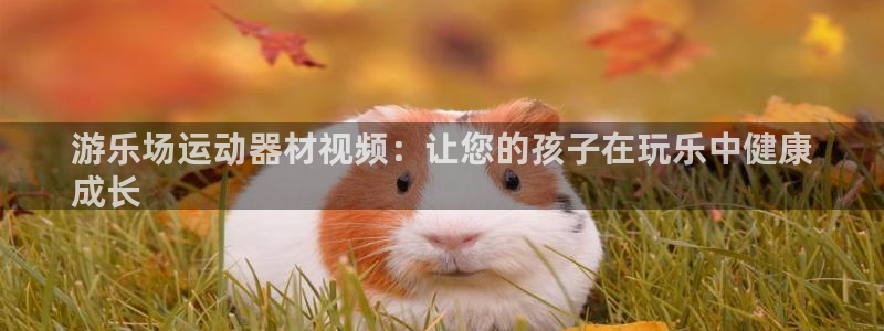 意昂体育3招商电话地址：游乐场运动器材视频：让您的孩