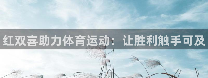 意昂体育3平台注册：红双喜助力体育运动：让胜利触手可
