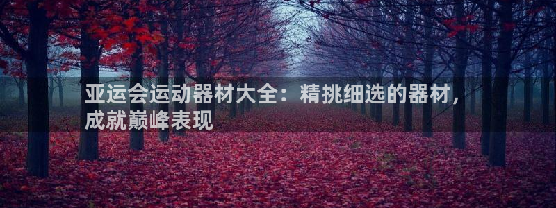 意昂3开户：亚运会运动器材大全：精挑细选的器材，
成