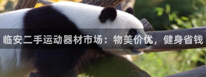 意昂3五金厂：临安二手运动器材市场：物美价优，健身省