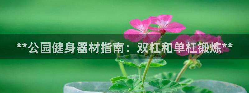 意昂体育3平台假的吗是真的吗吗：**公园健身器材指南