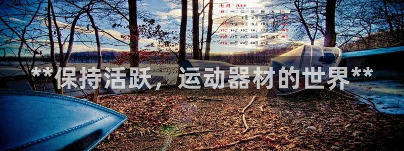 意昂3集团logo：**保持活跃，运动器材的世界**
