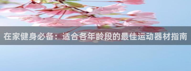 意昂体育3招商：在家健身必备：适合各年龄段的最佳运动