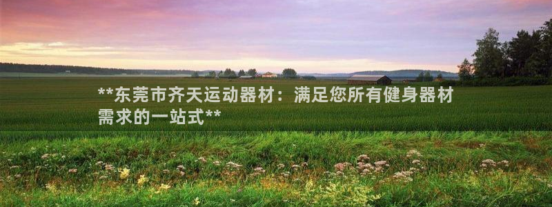 意昂3神州：**东莞市齐天运动器材：满足您所有健身器