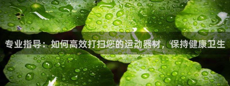 意昂体育3招商电话是多少：专业指导：如何高效打扫您的