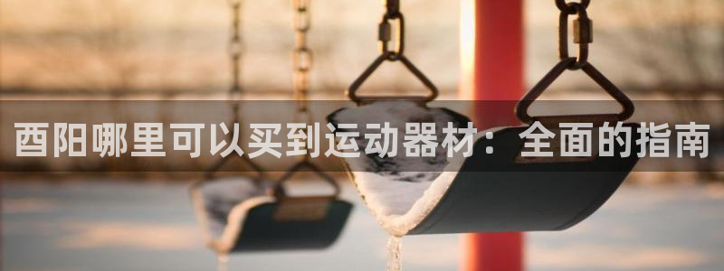 德国意昂3集团：酉阳哪里可以买到运动器材：全面的指南