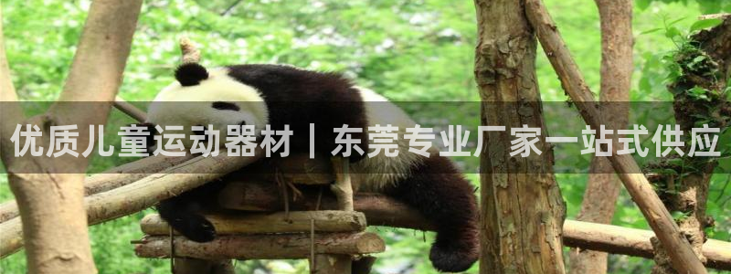 意昂体育3软件：优质儿童运动器材｜东莞专业厂家一站式