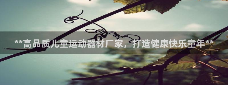 意昂平台体育：**高品质儿童运动器材厂家，打造健康快