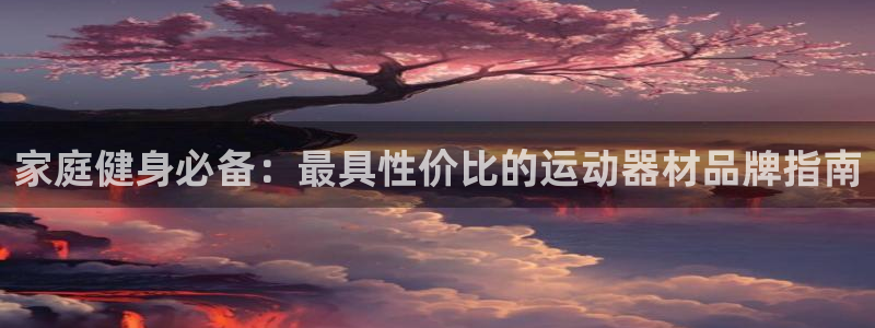 意昂3娱乐首页官网下载：家庭健身必备：最具性价比的运