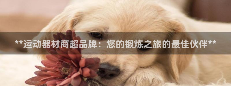 意昂3官方：**运动器材商超品牌：您的锻炼之旅的最佳