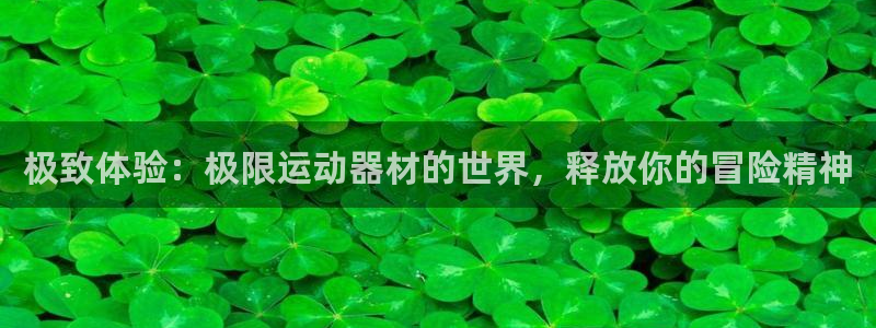 意昂3新能源：极致体验：极限运动器材的世界，释放你的