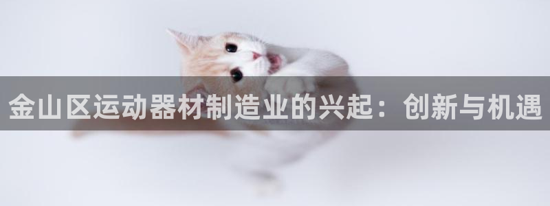 意昂3娱乐40996：金山区运动器材制造业的兴起：创