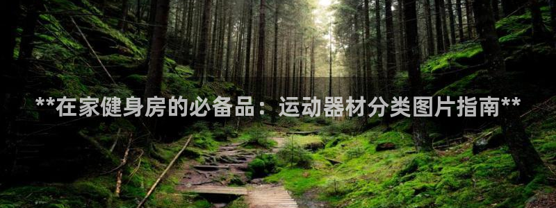意昂3新能源：**在家健身房的必备品：运动器材分类图