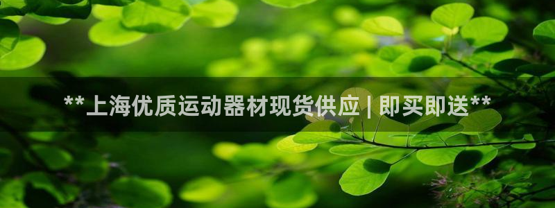 德国意昂3集团：**上海优质运动器材现货供应 | 即