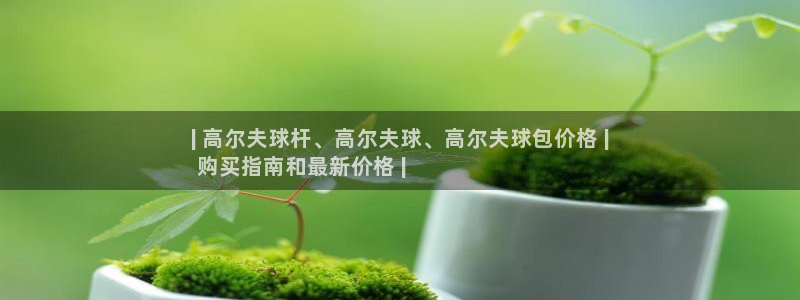 意昂体育3招商电话号码查询是多少：| 高尔夫球杆、高