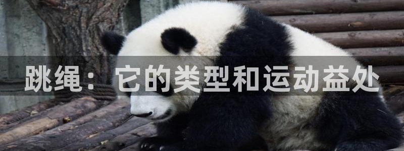 意昂体育3招商电话地址：跳绳：它的类型和运动益处