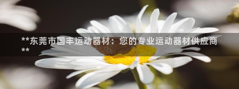 意昂3集团logo：**东莞市国丰运动器材：您的专业