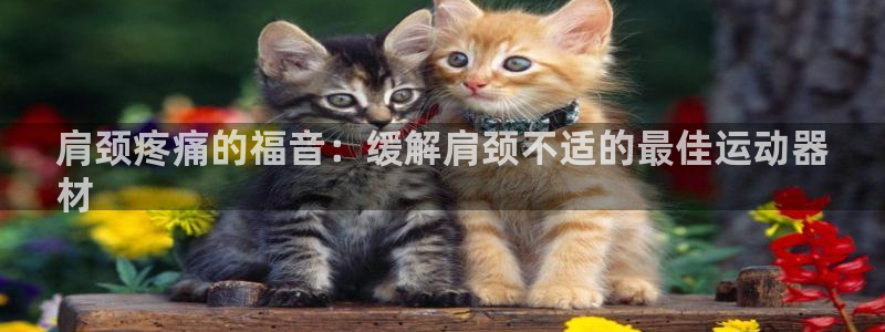 意昂3娱乐首页网站大全：肩颈疼痛的福音：缓解肩颈不适