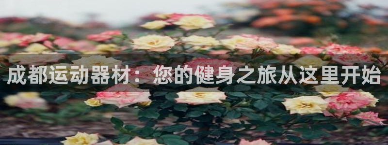 意昂体育3平台注册要钱吗安全吗：成都运动器材：您的健