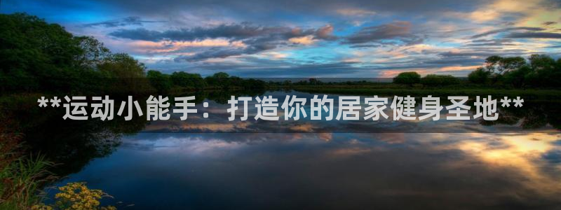 意昂3娱乐首页网站大全：**运动小能手：打造你的居家