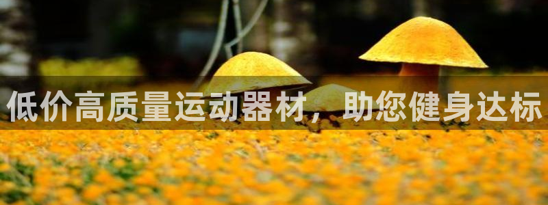 意昂体育3注册：低价高质量运动器材，助您健身达标