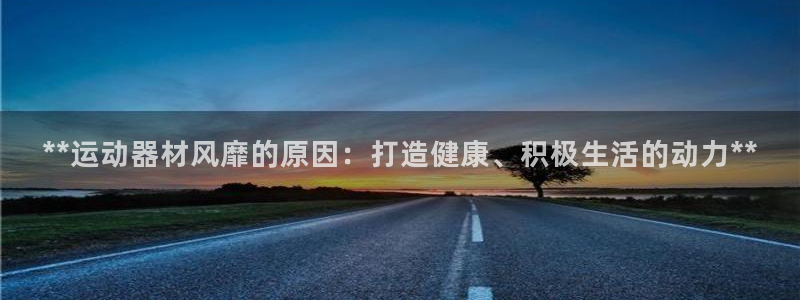 意昂3集团简介：**运动器材风靡的原因：打造健康、积