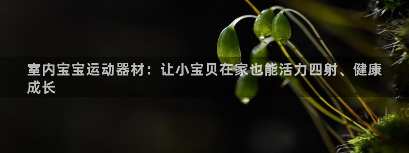 意昂体育3平台APP：室内宝宝运动器材：让小宝贝在家