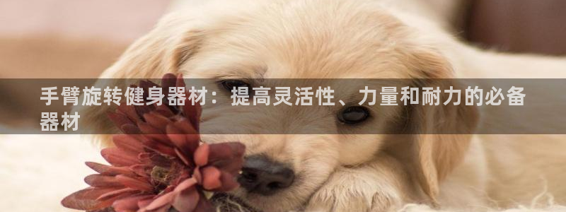意昂3集团logo：手臂旋转健身器材：提高灵活性、力