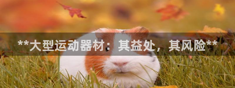 意昂体育3平台假的吗是真的吗吗：**大型运动器材：其