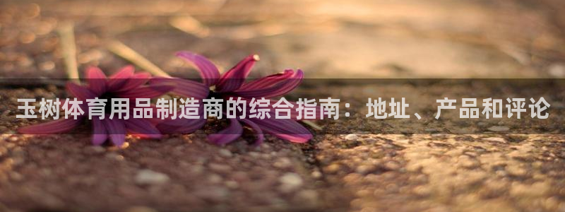 意昂3集团官网首页网址：玉树体育用品制造商的综合指南