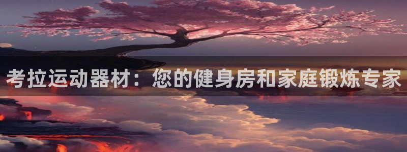 意昂体育3平台APP：考拉运动器材：您的健身房和家庭锻炼专家