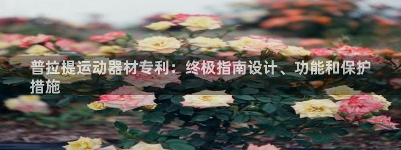 意昂体育3平台注册要钱吗是真的吗：普拉提运动器材专利